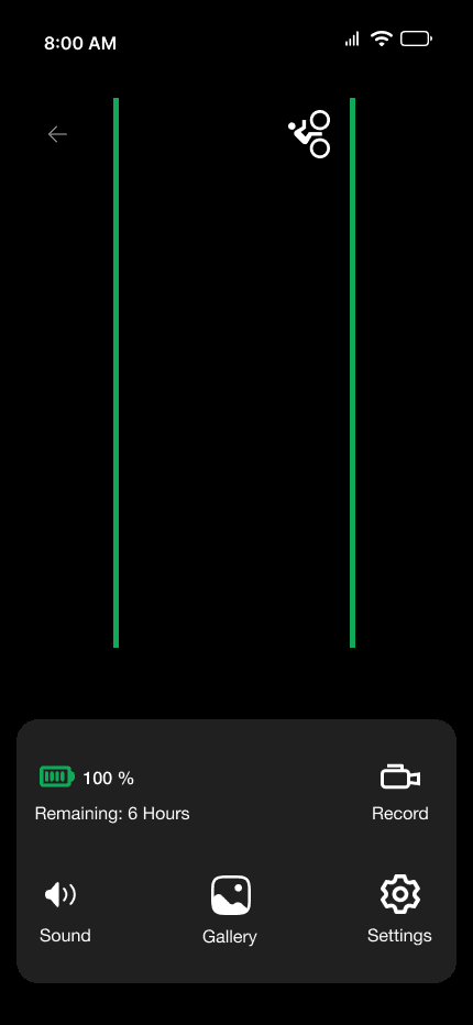 Finished clear detection state with green road guides.